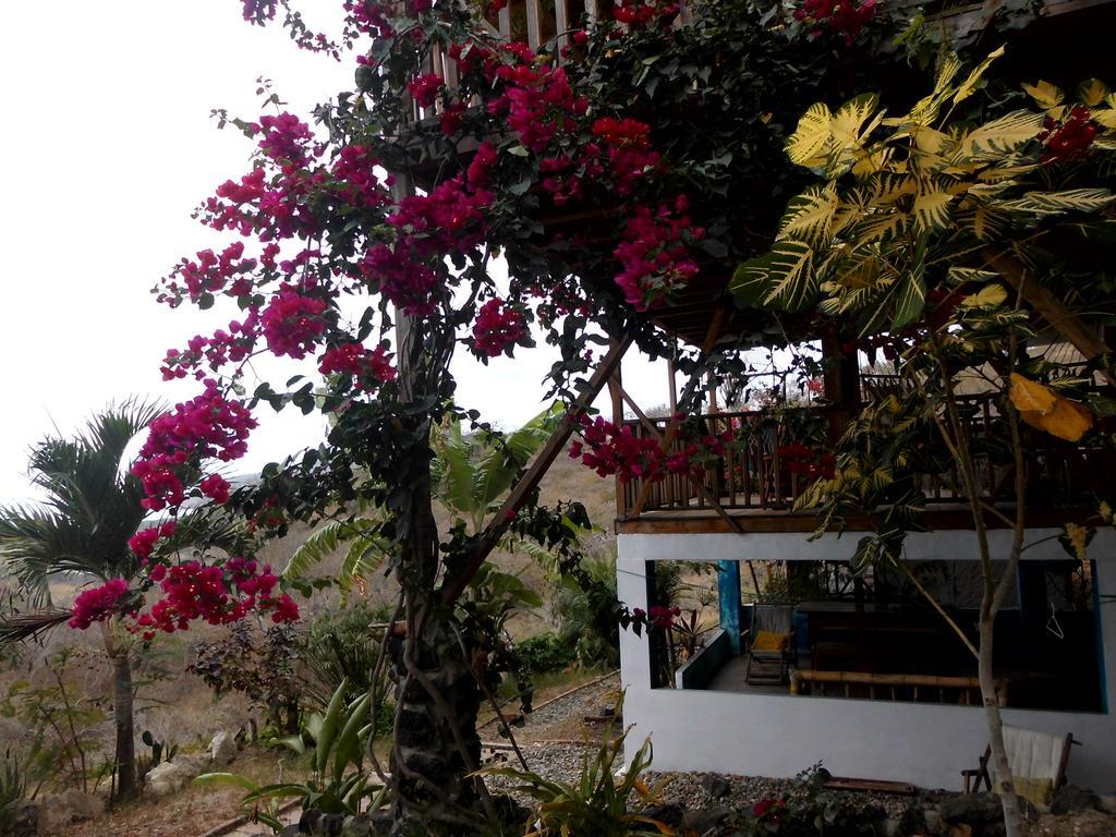 Maremonti Bed & Breakfast Puerto López المظهر الخارجي الصورة