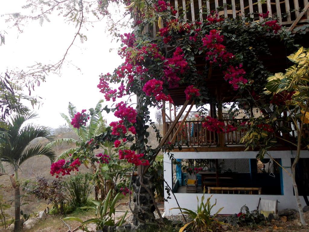Maremonti Bed & Breakfast Puerto López المظهر الخارجي الصورة