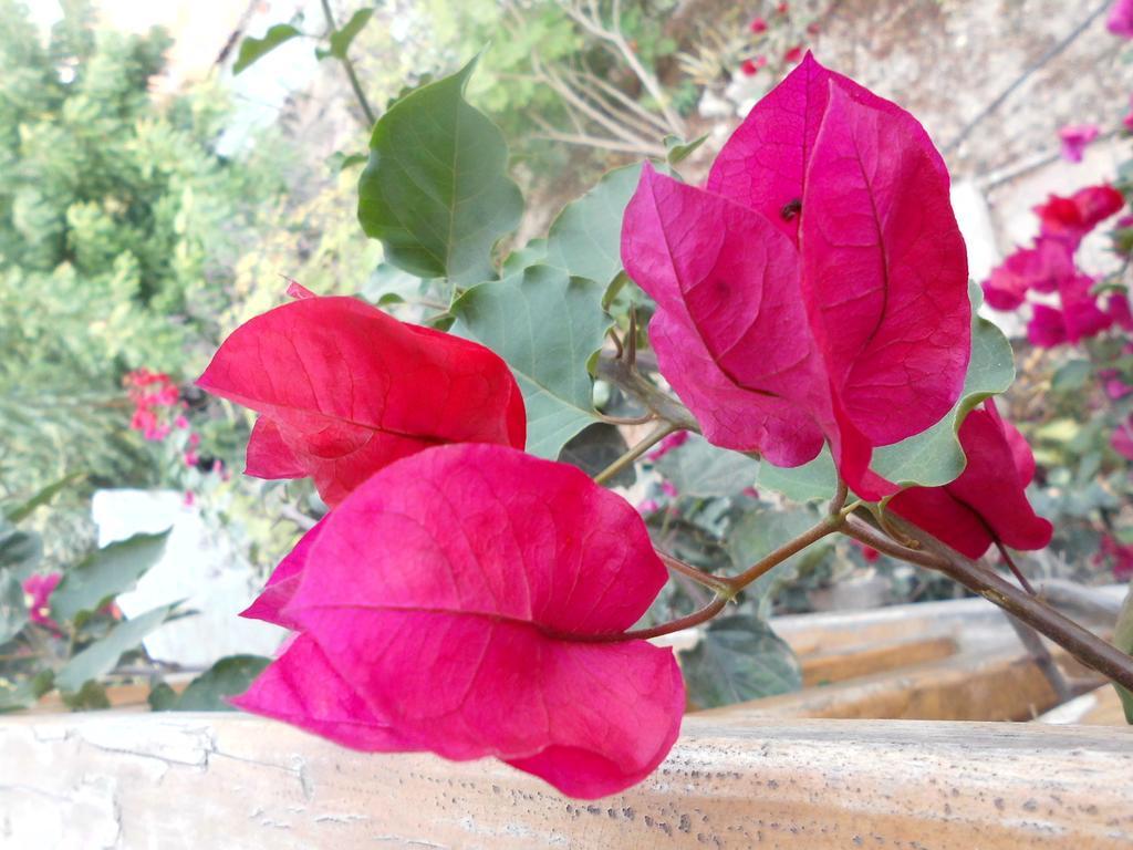 Maremonti Bed & Breakfast Puerto López المظهر الخارجي الصورة