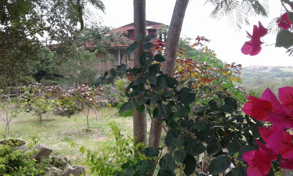 Maremonti Bed & Breakfast Puerto López المظهر الخارجي الصورة