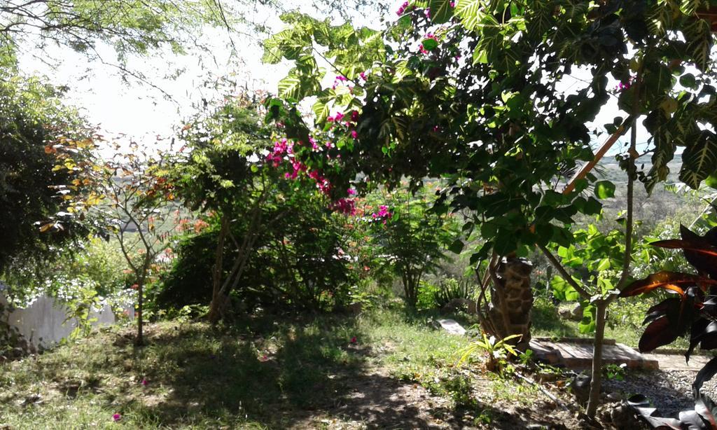 Maremonti Bed & Breakfast Puerto López المظهر الخارجي الصورة
