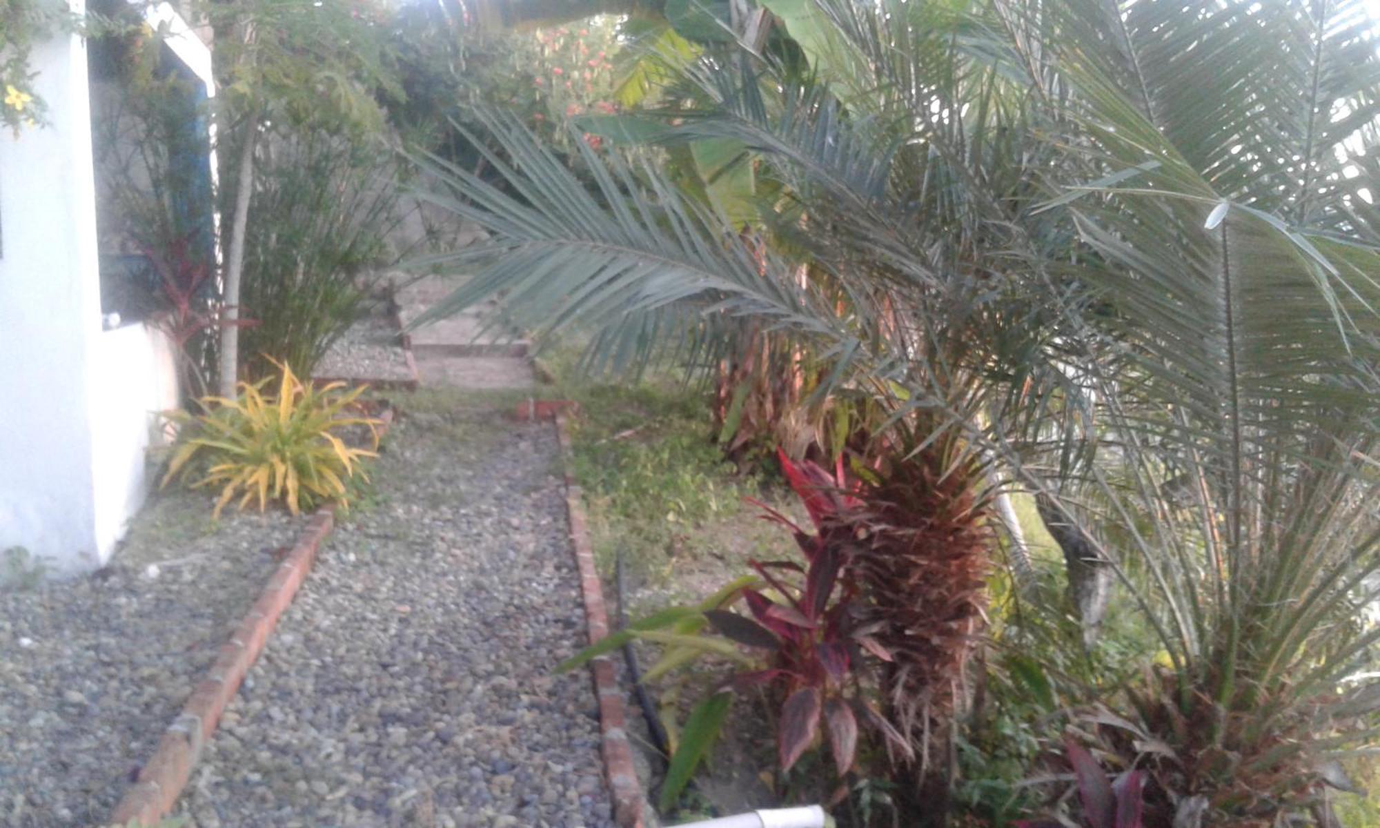 Maremonti Bed & Breakfast Puerto López المظهر الخارجي الصورة