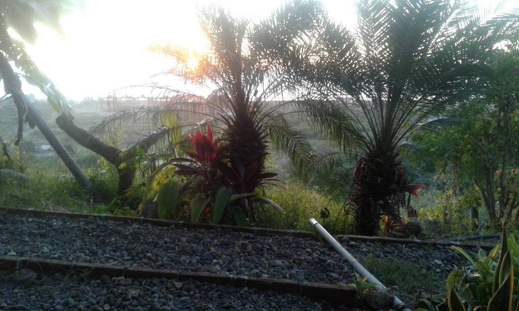 Maremonti Bed & Breakfast Puerto López المظهر الخارجي الصورة
